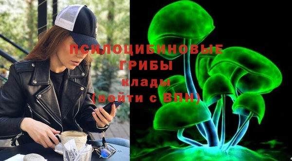 мяу мяу мука Алексин